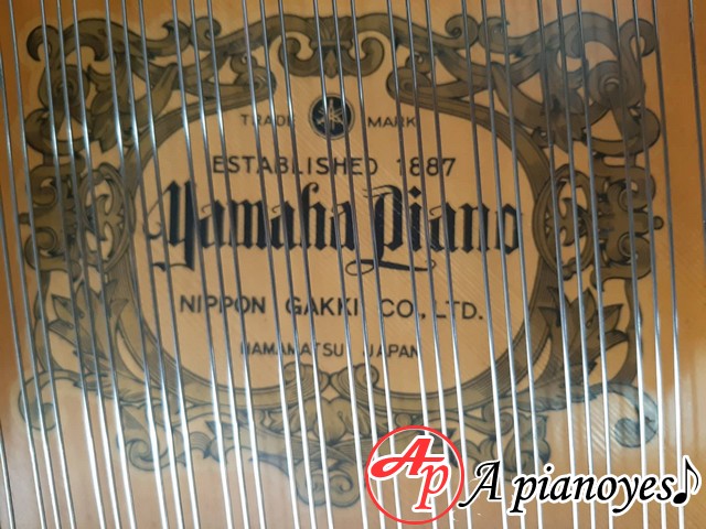 grand piano G5E yamaha grand piano G5E yamaha
