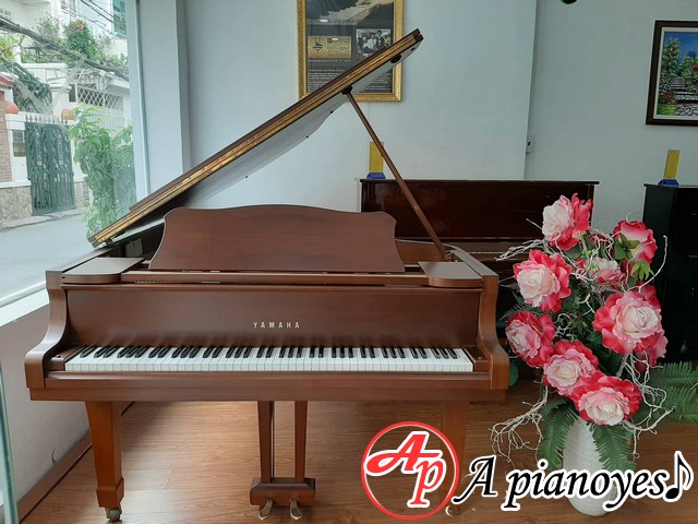 Grand Piano Yamaha G5-E Grand Piano Yamaha G5-E