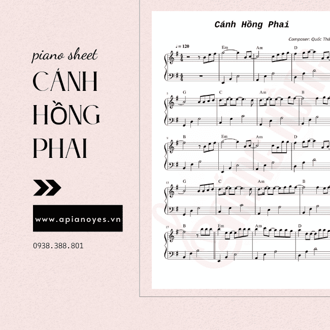 Cánh hồng phai sheet piano