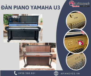 Đàn piano Yamaha U3