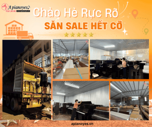 chào Hè rực rỡ 2025