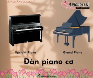 Đàn piano cơ