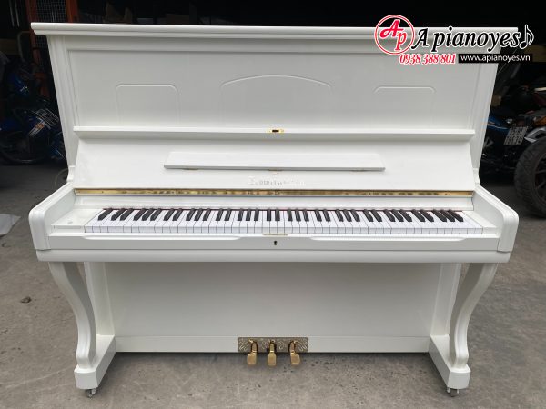 Đàn piano SCHWEIZERSTEIN DS133ANC