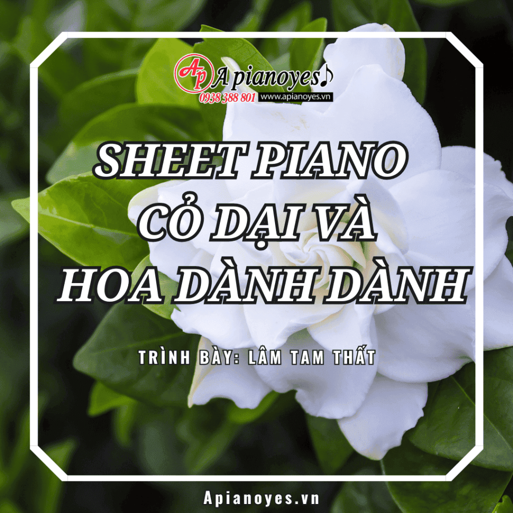 Sheet piano Cỏ dại và hoa dành dành