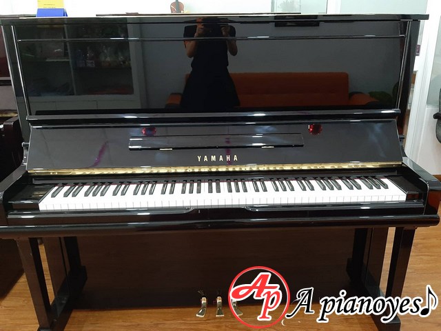 bán đàn piano