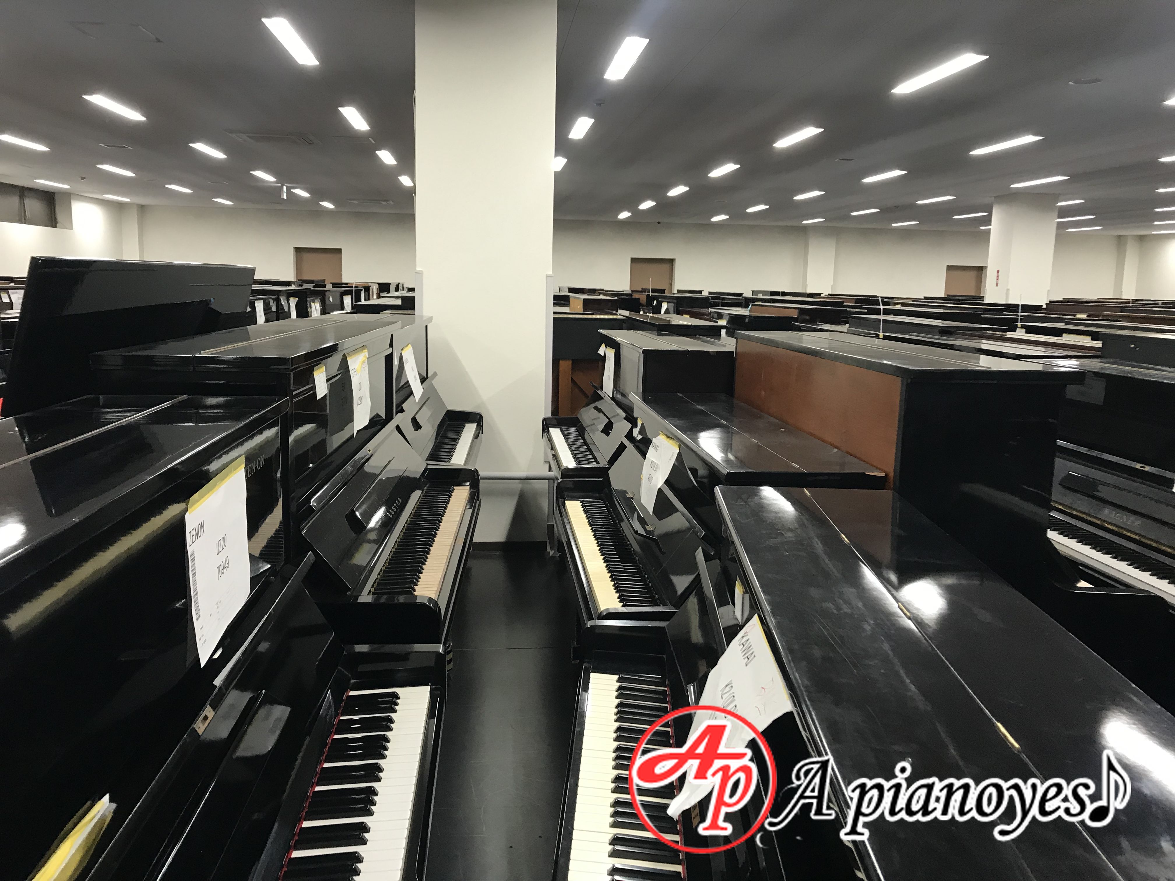 APIANOYES nhập khẩu piano 100% từ Nhật Bản