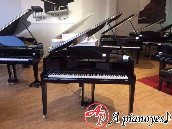 piano grand - Apianoyes