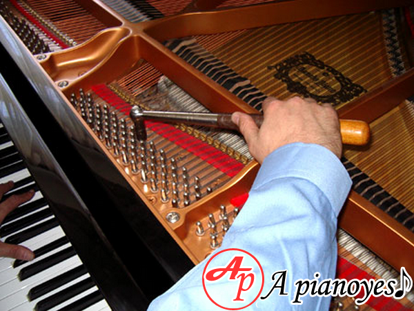 len-day-piano-gia-re Lên dây piano cơ tại tp.hcm