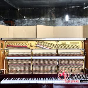 đàn piano rosenstein 55or