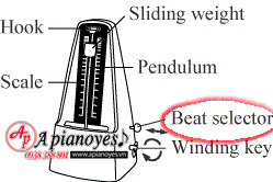 máy gõ nhịp metronome
