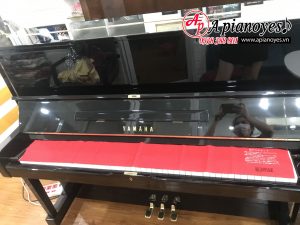 phủ phìm đàn