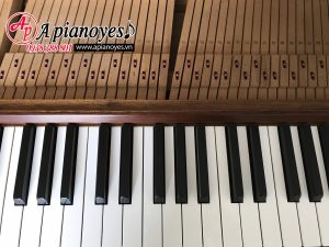 Đàn piano W101