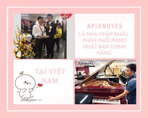 APIANOYES - địa chỉ bán đàn piano uy tín
