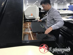 cửa hàng piano