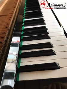 đàn organ và đàn piano