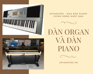 đàn organ và đàn piano