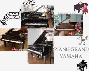 PIANO GRAND YAMAHA