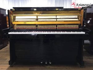 Đàn piano APOLLO NO>350