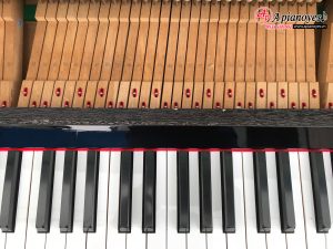 ĐÀN PIANO YAMAHA U1M