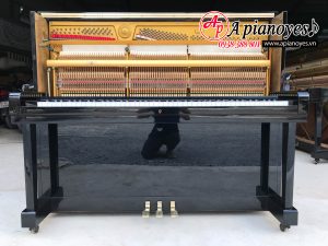 Đàn piano APOLLO A5