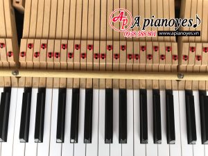 Đàn piano KAWAI US-50