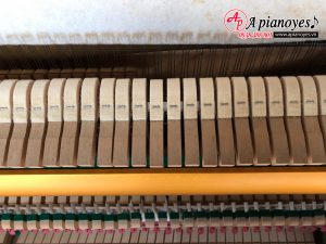 Đàn piano WAGNER HW-10