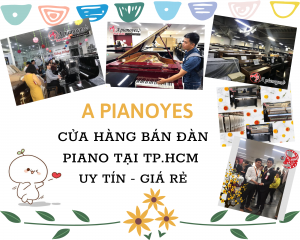 cửa hàng bán đàn piano uy tín