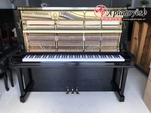 đàn piano Apollo