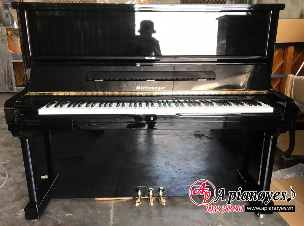 Đàn Piano Steinmeyer TS 200