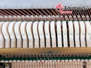 Đàn piano APOLLO A5