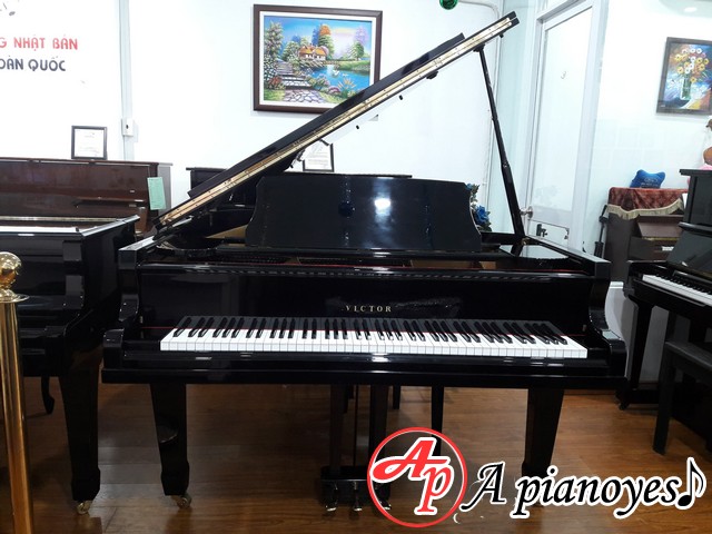 Đàn Grand Piano Victor VG500