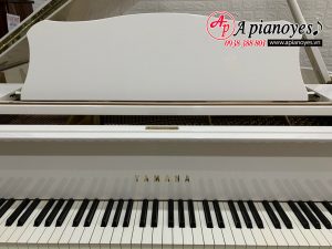 đàn grand piano