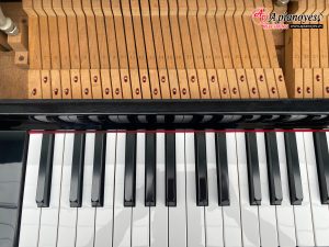 đàn piano GORS & KALLMANN GK5000 