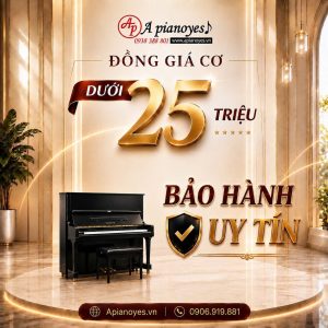 ĐỒNG GIÁ PIANO CƠ DƯỚI 25 TRIỆU