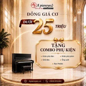 ĐỒNG GIÁ PIANO CƠ DƯỚI 25 TRIỆU