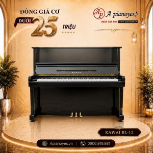 ĐỒNG GIÁ PIANO CƠ DƯỚI 25 TRIỆU
