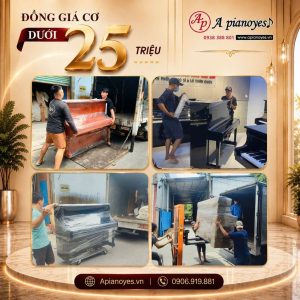 ĐỒNG GIÁ PIANO CƠ DƯỚI 25 TRIỆU