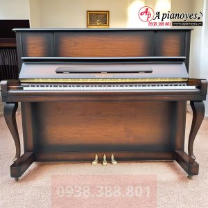 Đàn Piano WINSTEIN WS 121