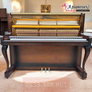 Đàn Piano WINSTEIN WS 121