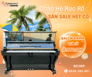 chào Hè rực rỡ 2025