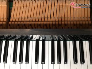 ĐÀN PIANO ETERNA