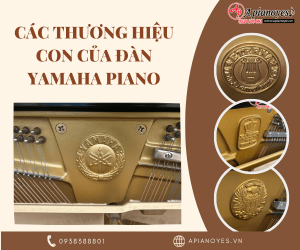 Các thương hiệu con của đàn YAMAHA piano