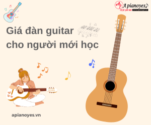 giá đàn guitar cho người mới học