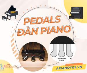 Pedals đàn piano