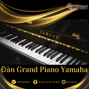 ĐÀN GRAND PIANO YAMAHA