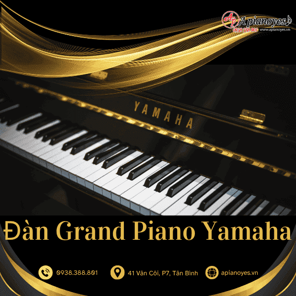 ĐÀN GRAND PIANO YAMAHA
