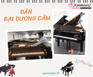 Đàn đại Dương Cầm