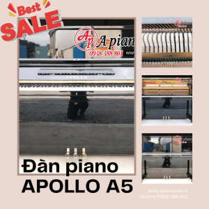 Đàn Piano APOLLO A5 (1)