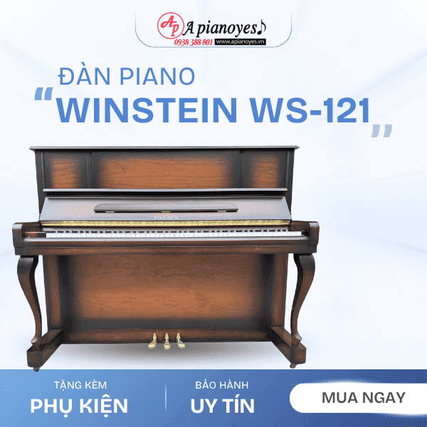 Đàn Piano WINSTEIN WS 121