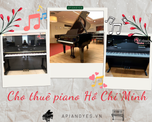 Cho thuê piano Hồ Chí Minh